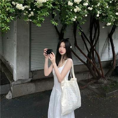 爱犬情深